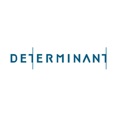Determinant_390